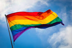 Iona’s LGBTQ Program Honored with Mather LifeWays Promising Practices Award